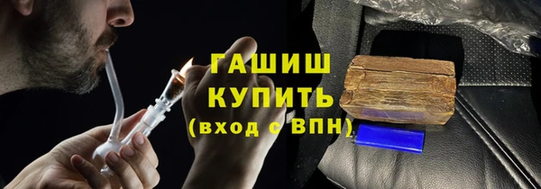 индика Богданович