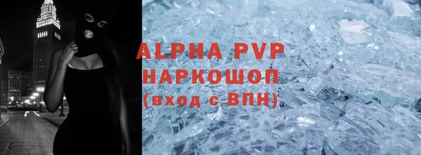 индика Богданович