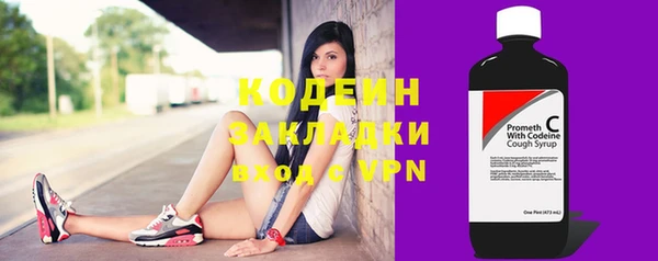 индика Богданович