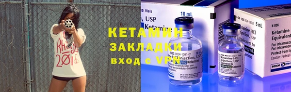 индика Богданович