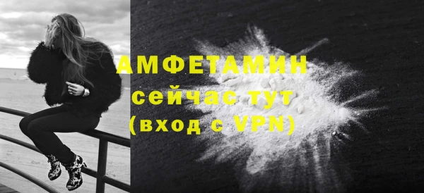 индика Богданович