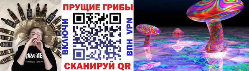 наркошоп Троицк ОМГ ОМГ как войти маркетплейс состав Галлюциногенные грибы ЛСД